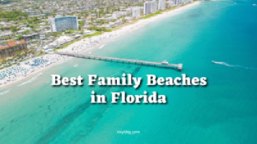 Best Family Beaches in Florida: You Must Visit With the Family